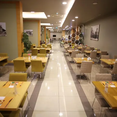 酒店 马尼萨西智选假日酒店 4*
