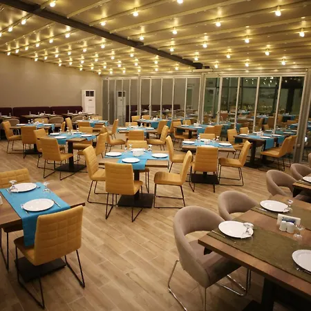 马尼萨西智选假日酒店 酒店